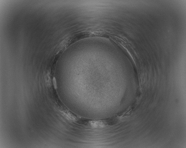 X0000060570520200511031313