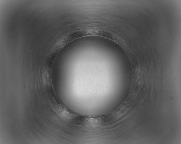 X0000060570522200511031313