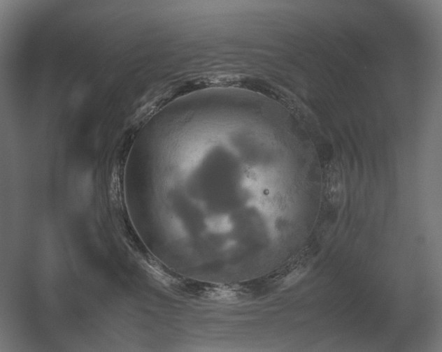 X0000060570523200511031313