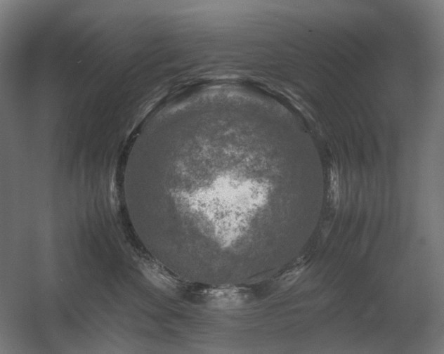 X0000060570524200511031313