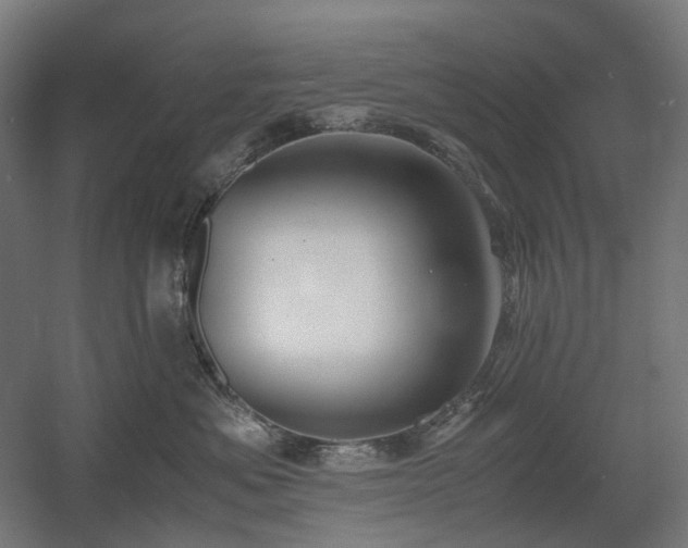 X0000060570525200511031313