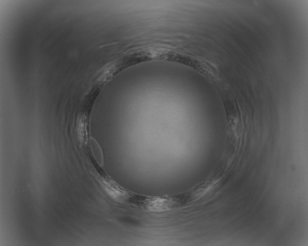 X0000060570527200511031313