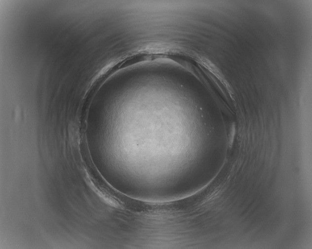 X0000060570530200511031312