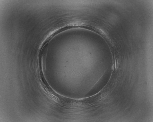 X0000060570531200511031312