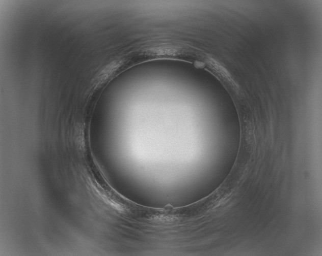 X0000060570537200511031312
