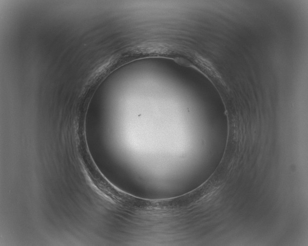 X0000060570538200511031312