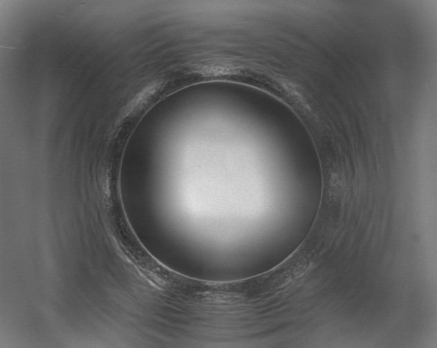 X0000060570539200511031312