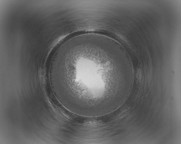 X0000060570540200511031312