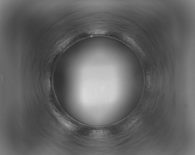 X0000060570541200511031312