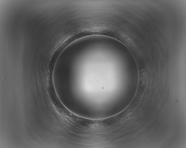 X0000060570544200511031312