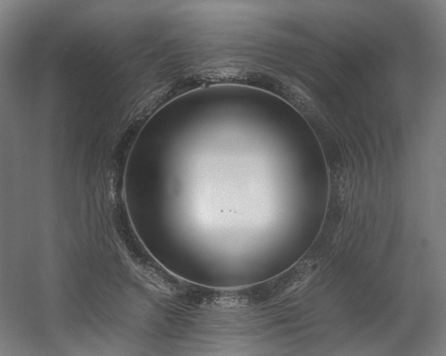 X0000060570546200511031312