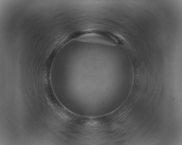 X0000060570547200511031312