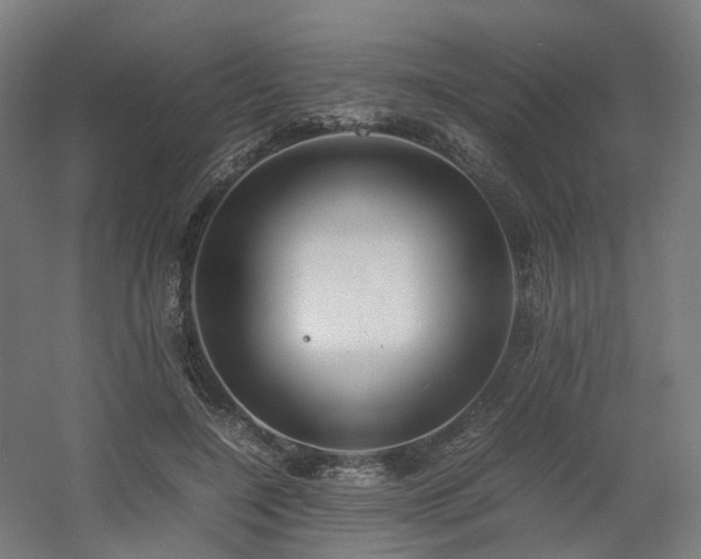X0000060570548200511031312