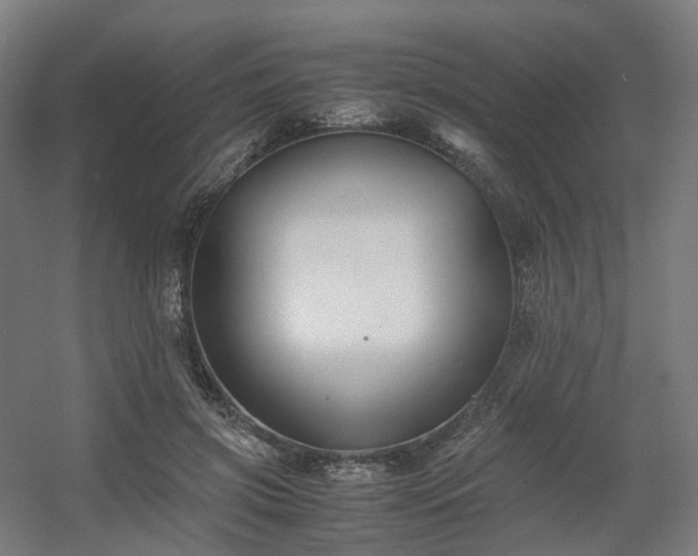 X0000060570549200511031312