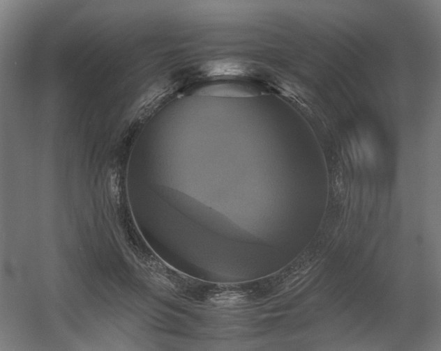 X0000060570551200511031312