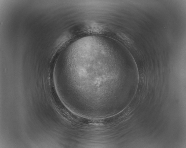 X0000060570552200511031312