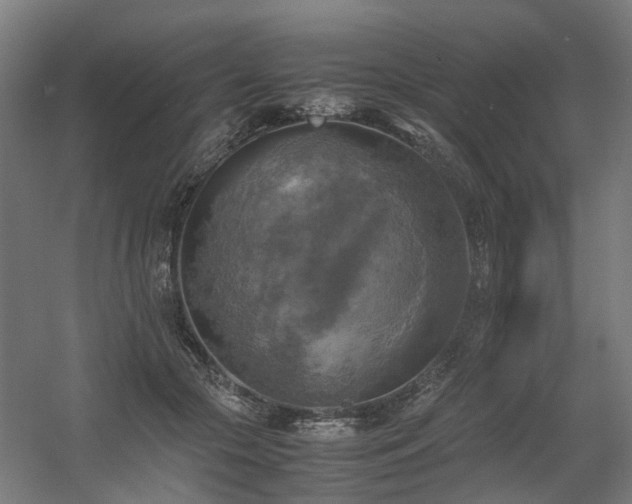 X0000060570553200511031312