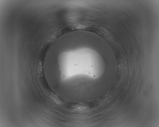 X0000060570555200511031312
