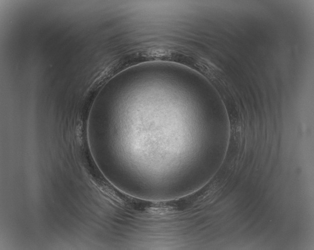 X0000060570556200511031312