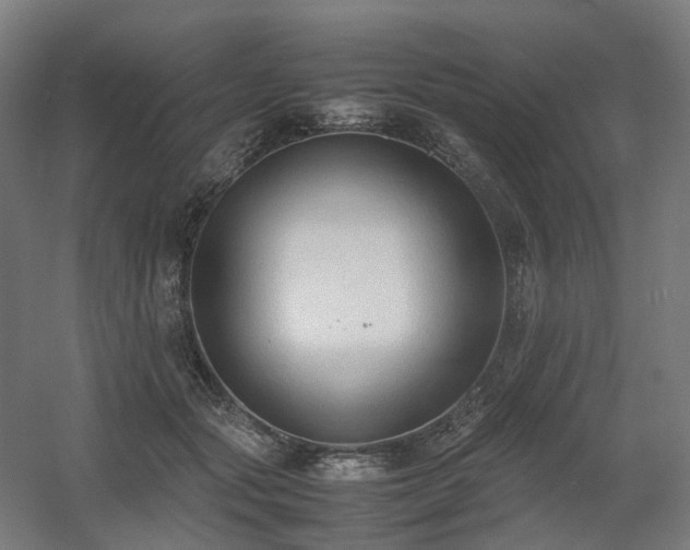 X0000060570557200511031312