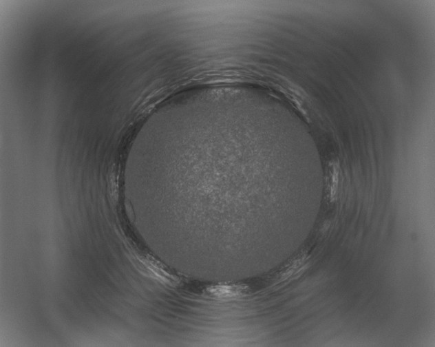X0000060570558200511031312