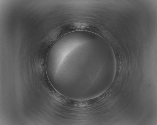 X0000060570559200511031312