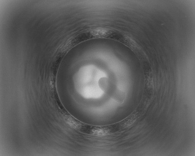 X0000060570561200511031312