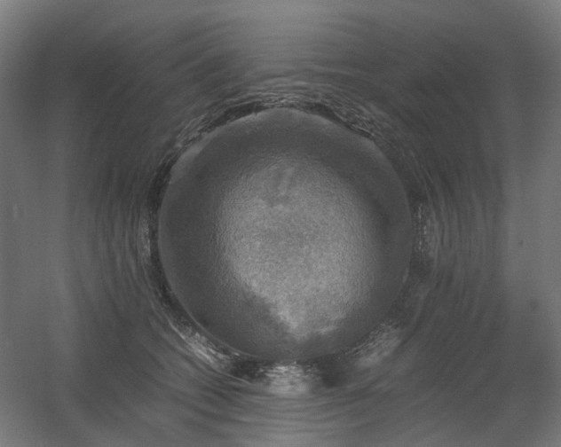 X0000060570562200511031312