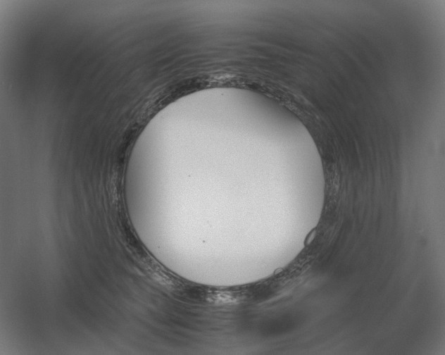 X0000060570565200511031312