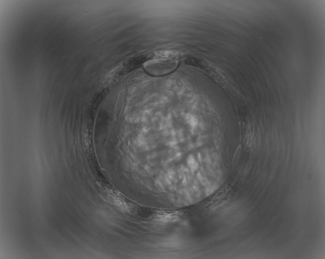 X0000060570569200511031312