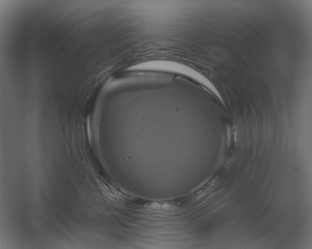 X0000060570570200511031312