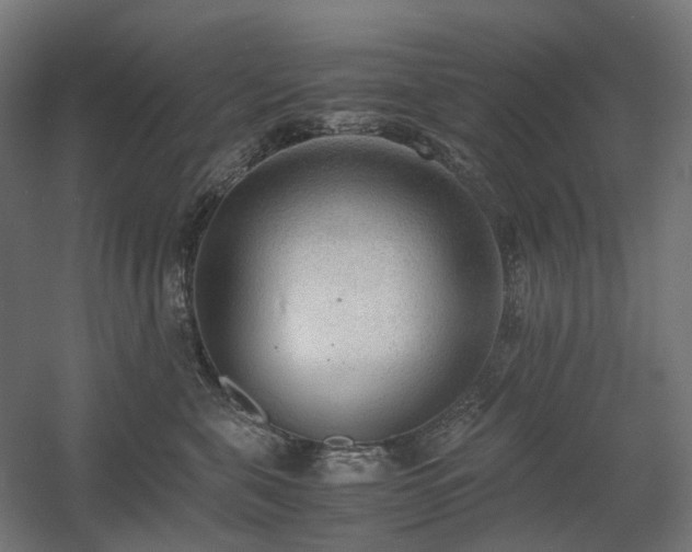 X0000060570571200511031312