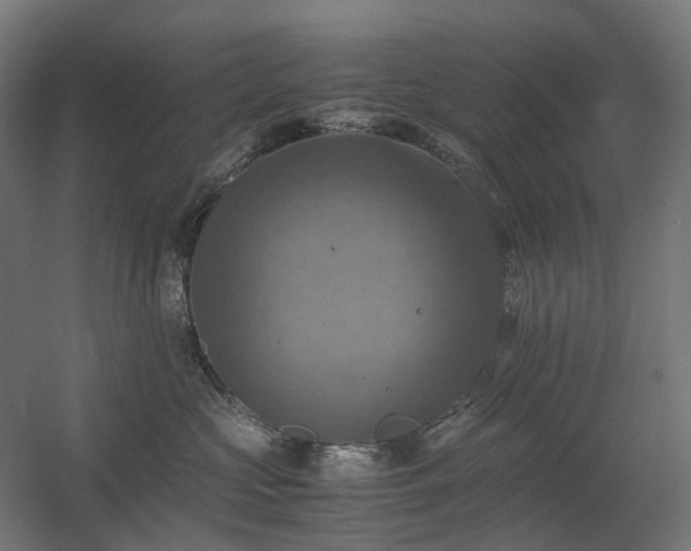 X0000060570573200511031312