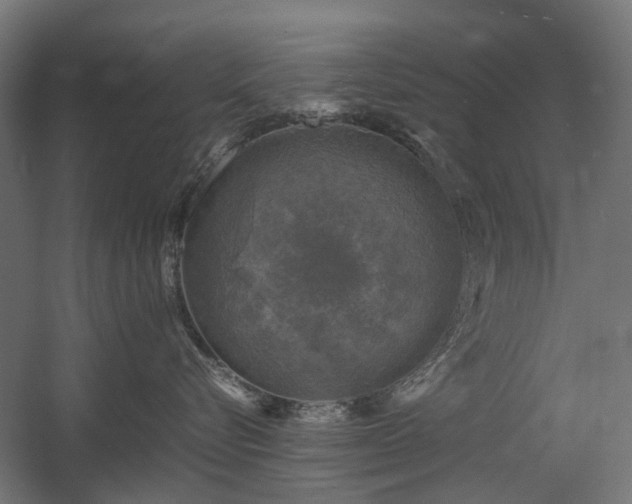 X0000060570576200511031312