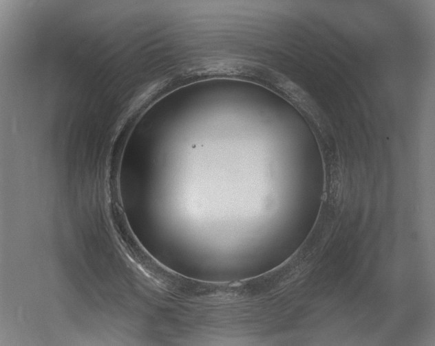 X0000060570578200511031312