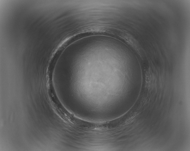 X0000060570584200511031312