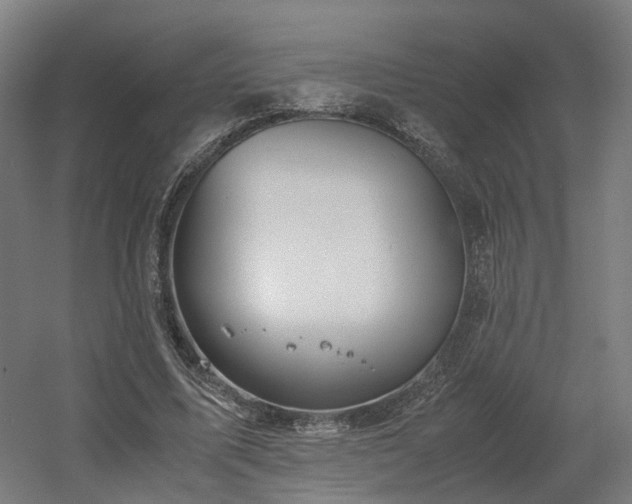 X0000060570587200511031311