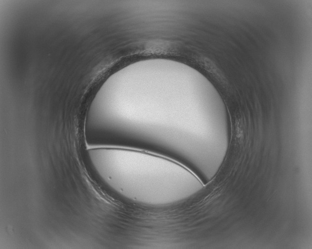 X0000060570588200511031311