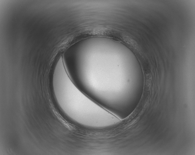 X0000060570589200511031311
