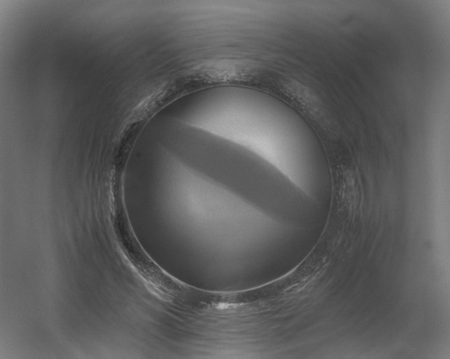 X0000060570590200511031311