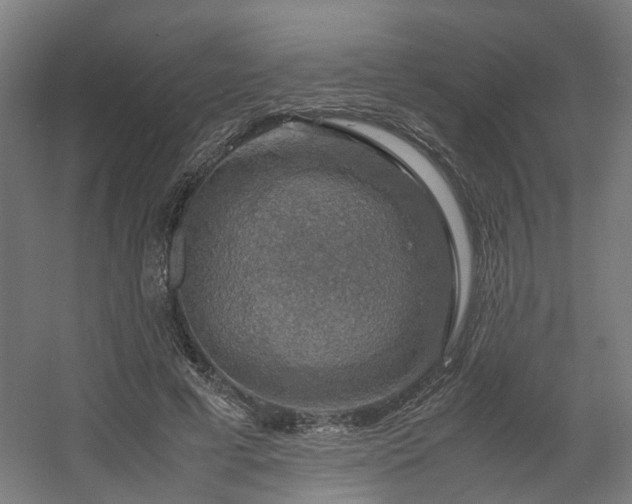 X0000060570593200511031311
