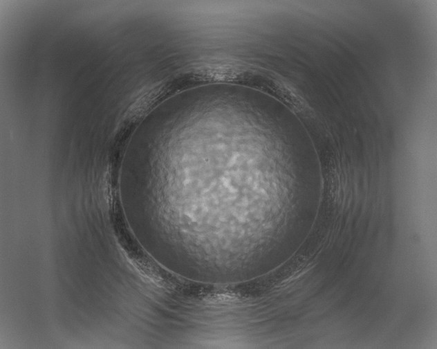 X0000060570594200511031311