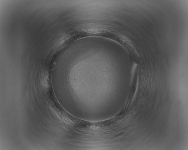 X0000060570596200511031311