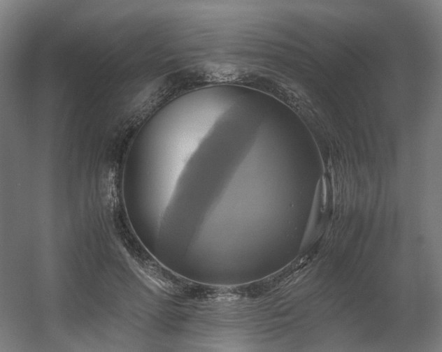 X0000060570598200511031311