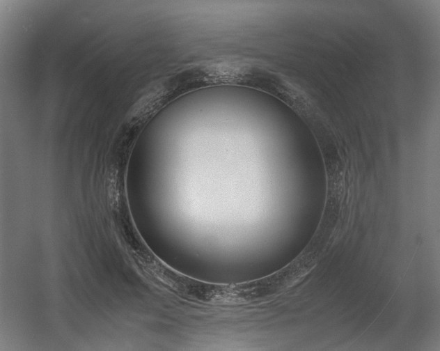X0000060570599200511031311