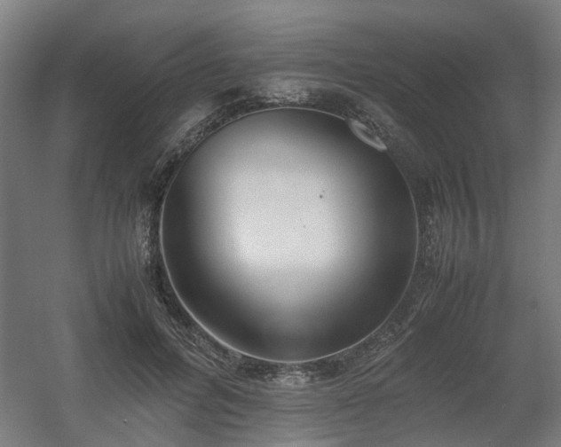 X0000060570600200511031311