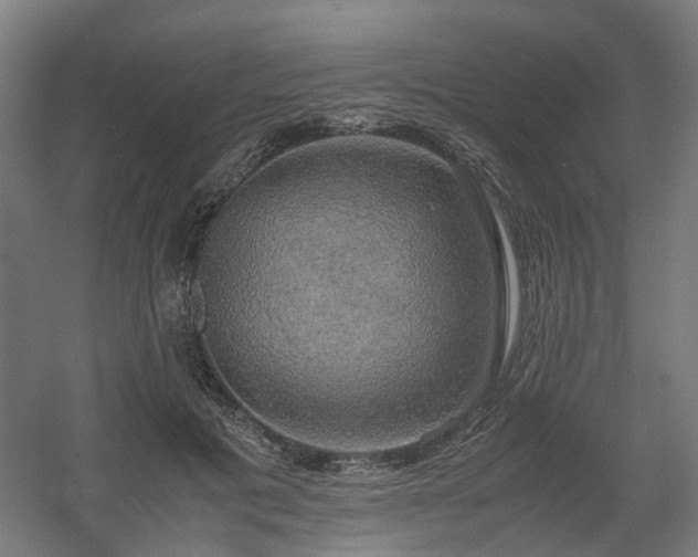 X0000060570601200511031311