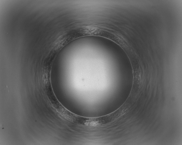 X0000060570602200511031311