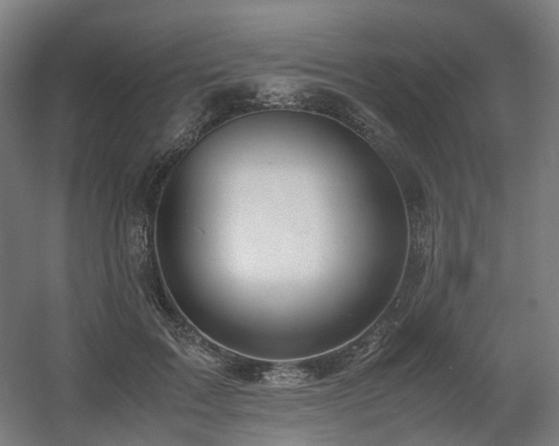 X0000060570603200511031311
