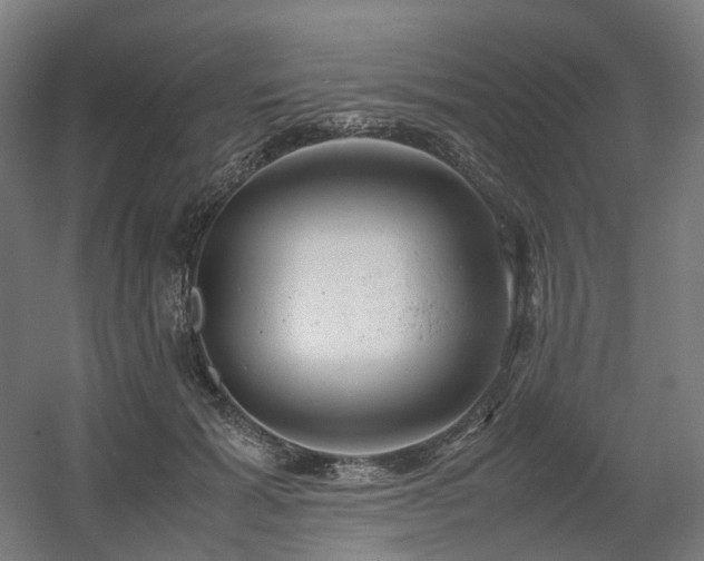 X0000060570605200511031311